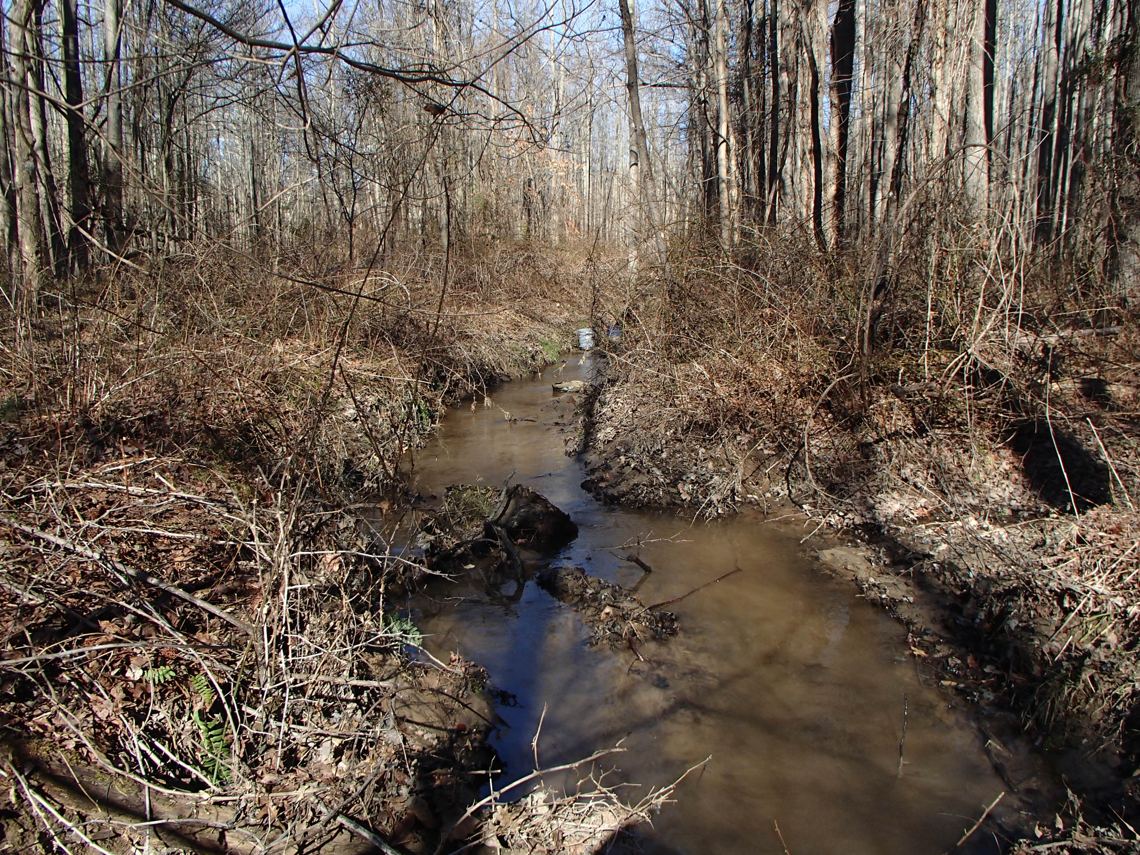 Field photo showing stream conditions at site WEST-104-X-2016_midpoint looking upstream